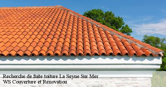 Recherche de fuite toiture  la-seyne-sur-mer-83500 WS Couverture et Renovation