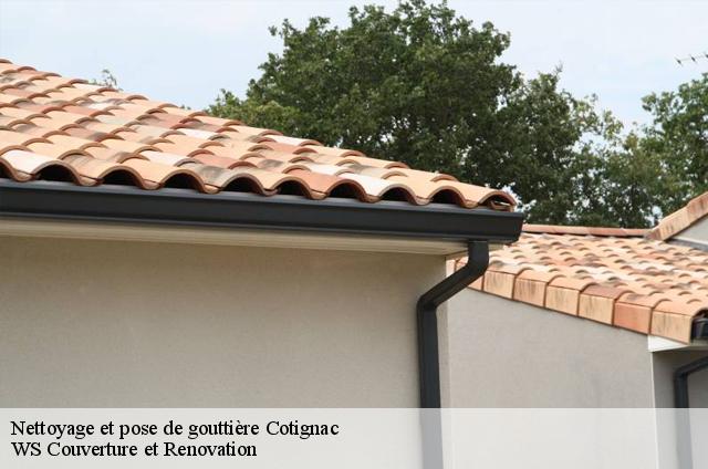 Nettoyage et pose de gouttière  83570