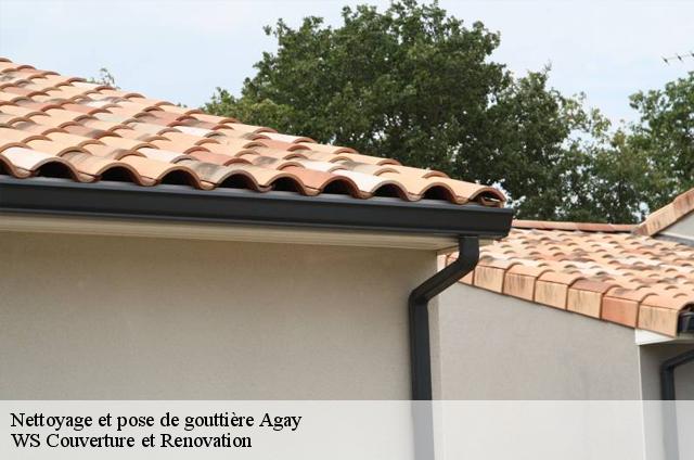 Nettoyage et pose de gouttière  83530